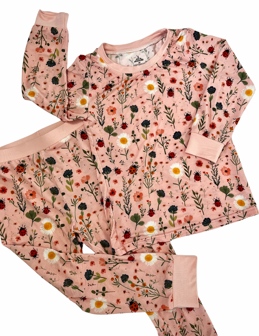 snug as a ladybug long sleeve set